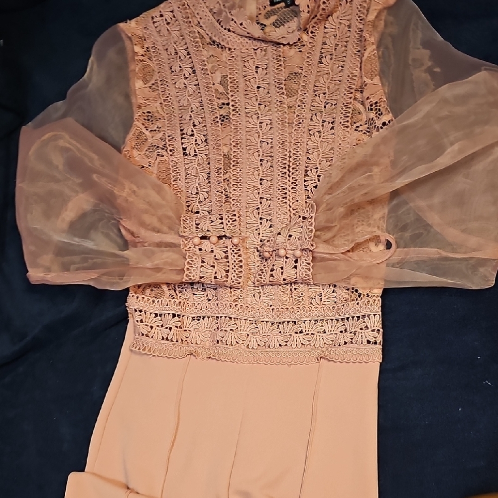 Elegant Lace and Sheer Sleeve Dress